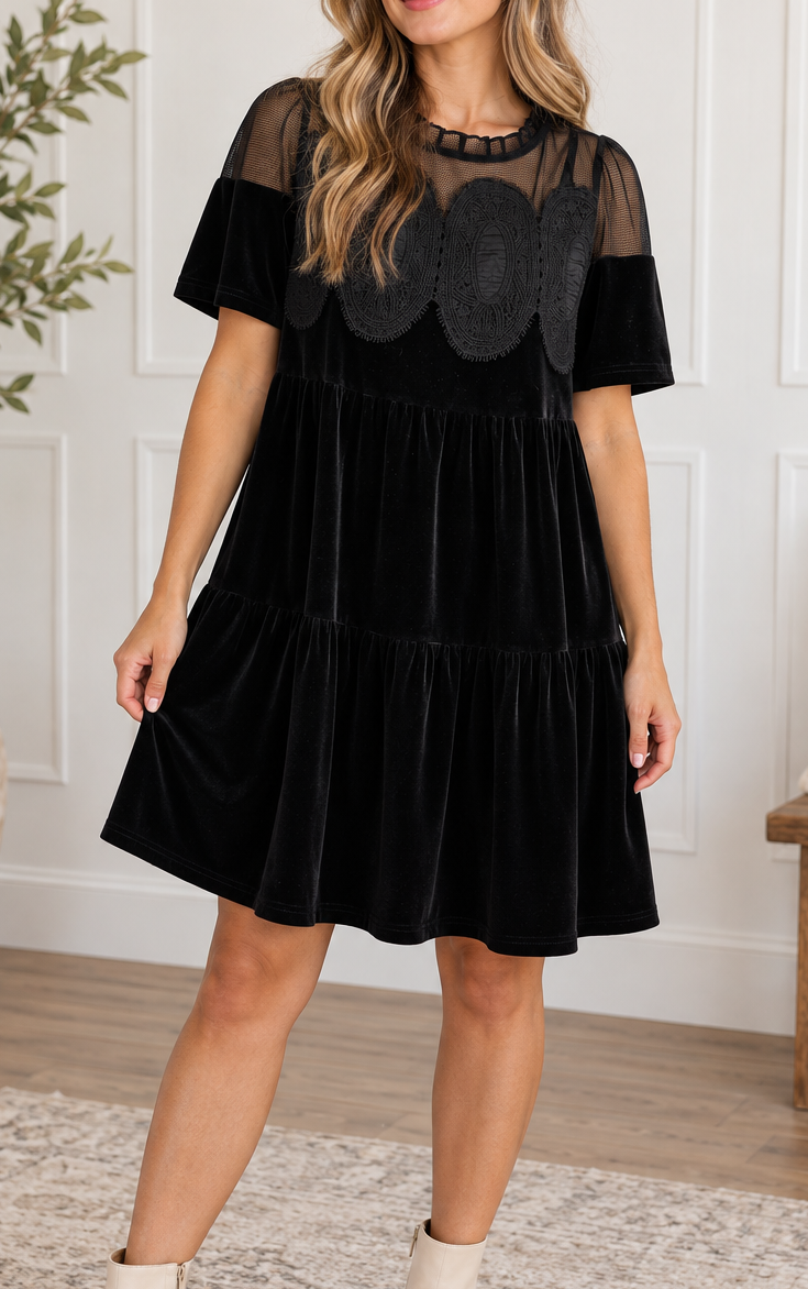 Black Embroidered Velvet Dress
